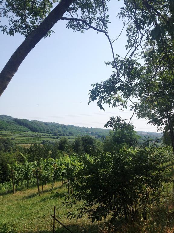 B&B Maccalle Oasi Franciacorta Provezze Exterior photo